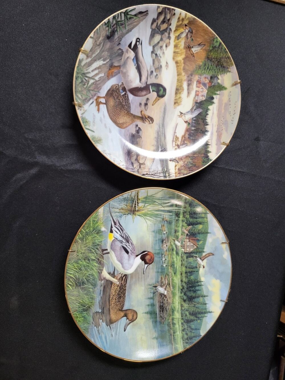 Collectible Duck Plate X 2 Mallard Decor